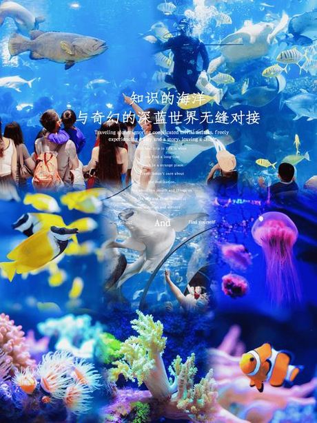 哈萨克网站大全，探索哈萨克网站大全，全新的娱乐世界等待你！