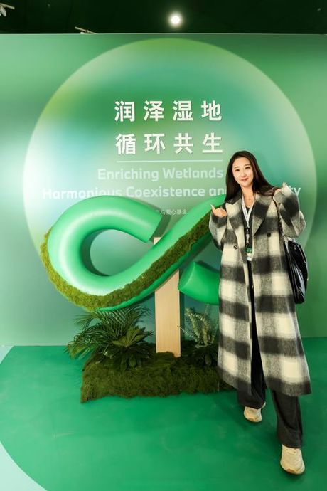 揭秘陆翊：致力于绿色生态的公司