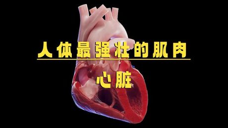 强心脏100601：让心脏变得更强壮