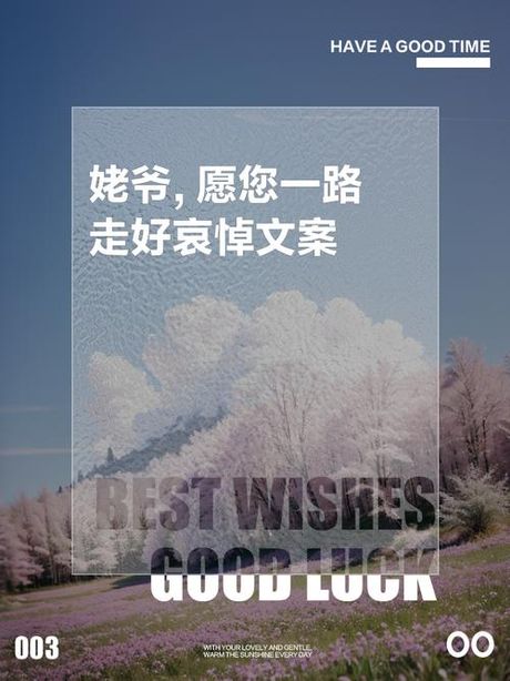 再见忠贞二村，再见忠贞二村，缅怀逝去的乡愁