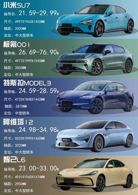 卓君多高：为什么越来越多人选择这款电动汽车？