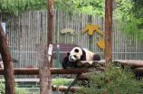 谢振南(谢振南：中国最受欢迎的摄影师)