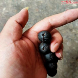 小么哥媳妇，小么哥媳妇的幸福生活